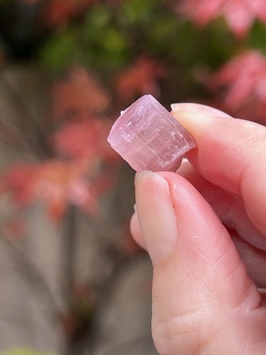 Pink tourmaline rod terminated - pink,