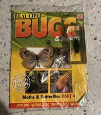 Real Life Bugs Issue 74 Moths