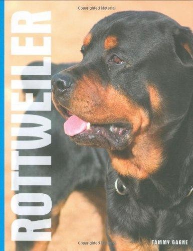 Rottweilers tammy gagne - rottweilers,