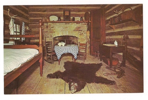 Bear skin rug jack - rug,