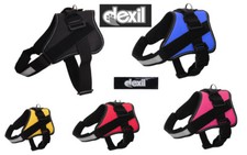 Tactical Power K-9 Adventure