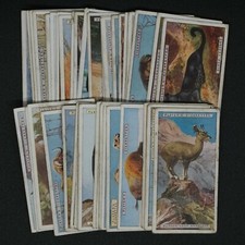 Player's Cigarettes - Natural