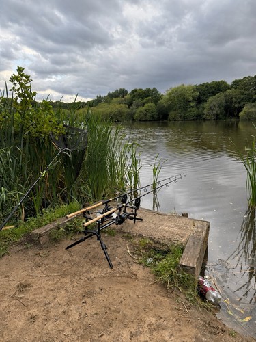 Rod carp fishing - rod, set
