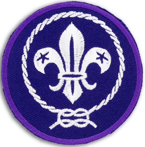 World scout badge 2 5 - scout, 7