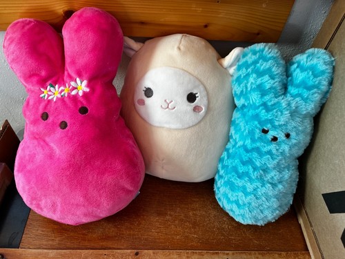 Lot squishmallows cream - lot,