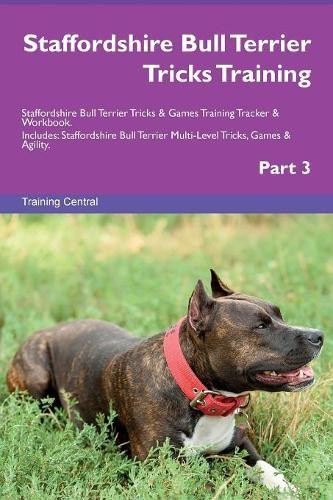 Staffordshire bull terrier - bull,