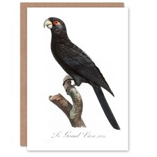 Francois Levaillant Art Card