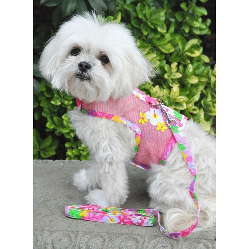 Dog harness leash cool - dog,