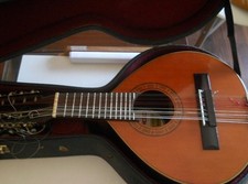 bandurria Garrido spanish