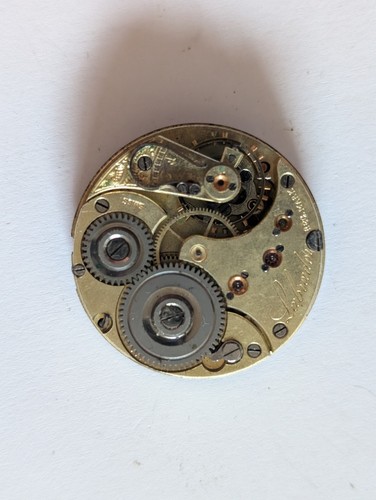 Vintage omega labrador - vintage,