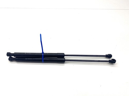 Renault megane bonnet gas - megane,