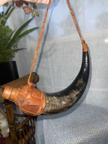 Bull horn canteen costume - bull,