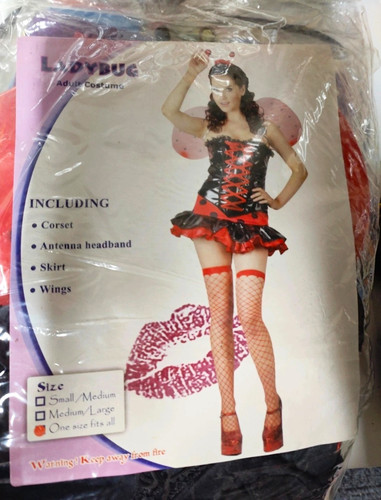 Love bug ladybug - love, costume