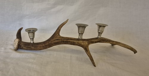Fallow deer antler silver - antler,
