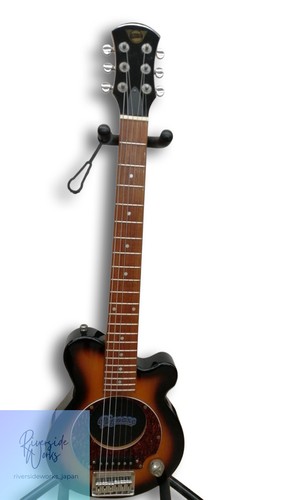 Pignose pgg 200 - pignose, amplified
