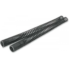 Progressive Suspension Fork
