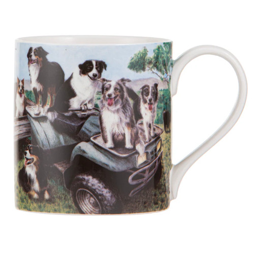 Ashdene working dogs quad - dogs, bike