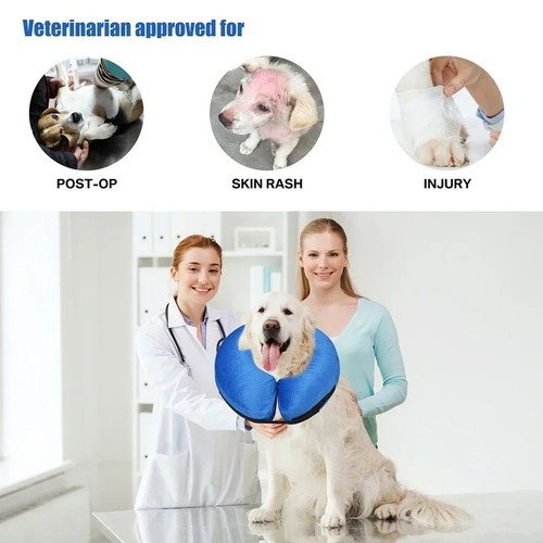 Dog cat protective inflatable - dog,