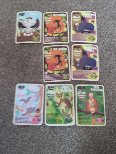 Bear cards assorted - bear, mix