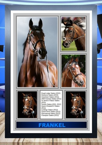 393 frankel print framed - 393),