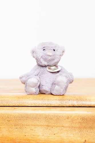 Charlie bears travel buddy - bears,