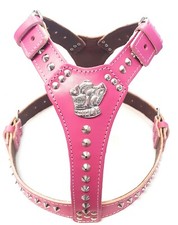 Beautiful Leather Dog Harness