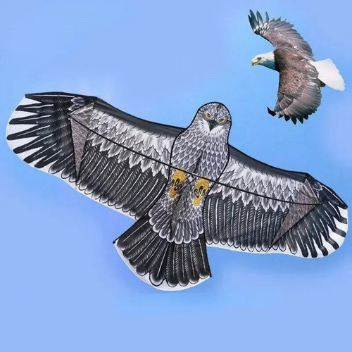 Large eagle kite bird - kite,