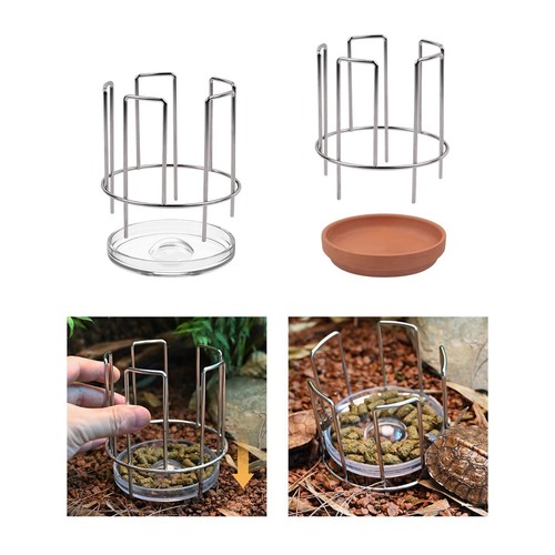 Turtle feeding dish food - dish,