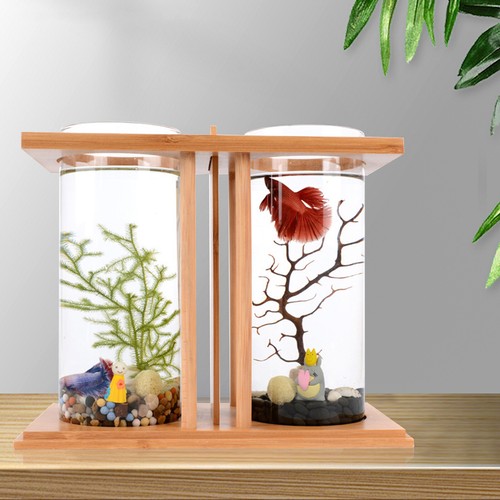 Small betta desktop dual glass - betta,