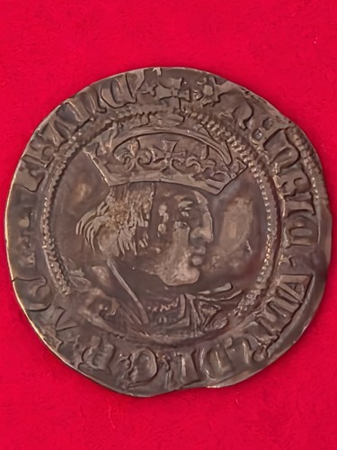 Henry viii profile - viii, tudor