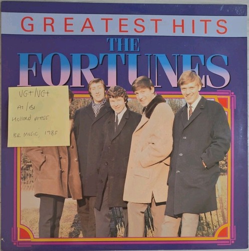 The fortunes greatest - the, hits
