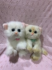 DSI  Kitty Kitty Kittens Soft