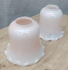 Vintage Glass Lamp Shades 2Pcs