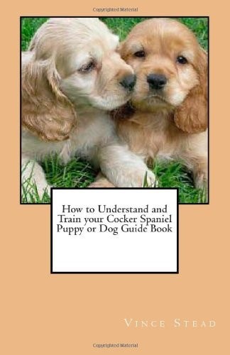 How understand and train - understand,