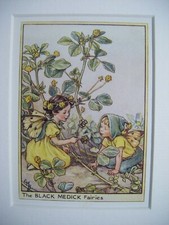 Vintage Flower Fairies Print &