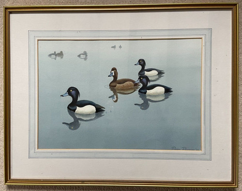 Robin reckitt original - robin,
