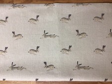 Sophie Allport Hare on Neutral