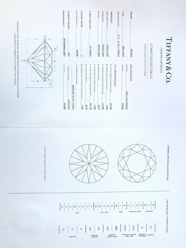 Tiffany co exquisite - tiffany,