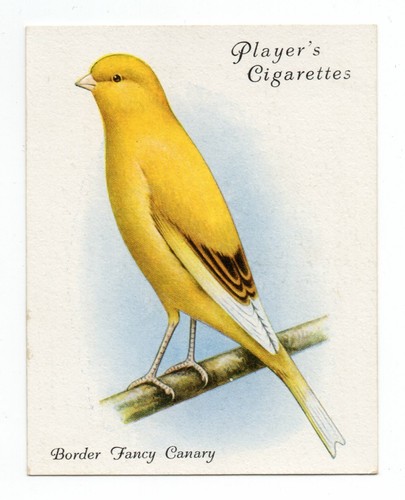 John player sons aviary - &,