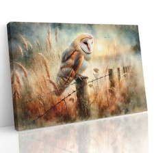 Barn Owl Sat On Fence