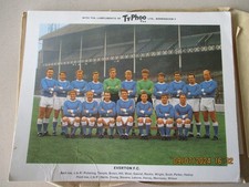 TYPHOO tea Premium size FOOTBALL team group 1965 EVERTON FC 
