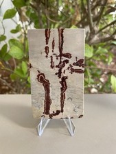Picture Jasper