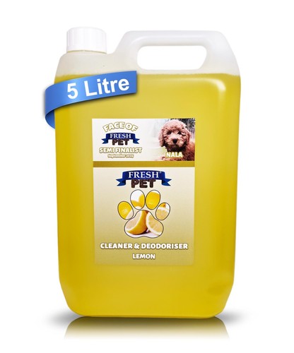 Kennel cattery cleaner and - kennel,