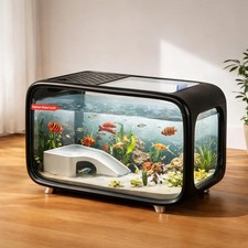 Compact betta fish - fish, kit