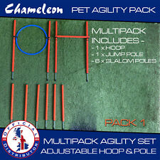 Dog  Agility JUMP Training Pet