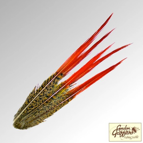 Golden pheasant red - red, spears