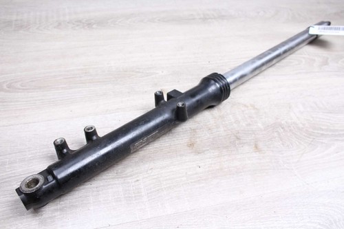 Fork stanchion front - , left
