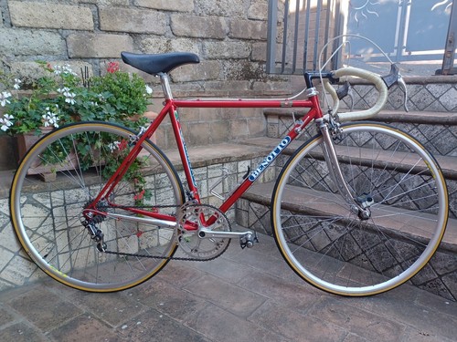 Benotto campagnolo super - ,