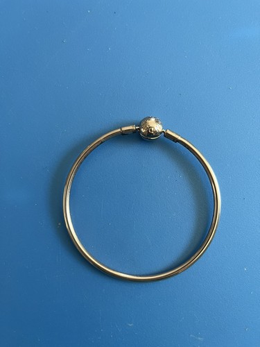 Pandora charm bracelet