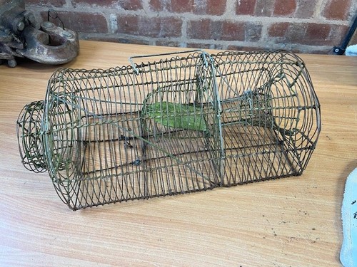 Vintage galvanised escaped rat - galvanised,